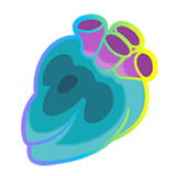Hyper Persim Berry