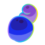 Hyper Shuca Berry