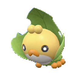 Buy Sewaddle