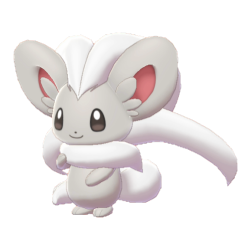 Buy Shiny 6IV Cinccino