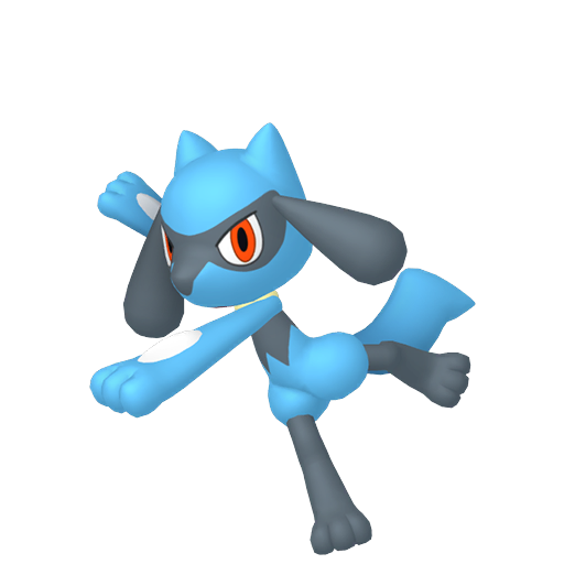 Shiny Riolu in Legends of Arceus