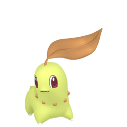 Pokestar - Shiny Chikorita in Legends: Z-A