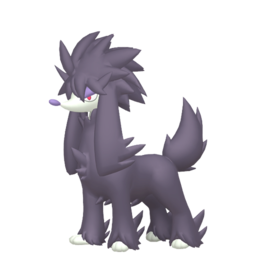 Pokestar - Shiny Furfrou in Legends: Z-A