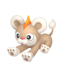 Pokestar - Shiny Litleo in Legends: Z-A