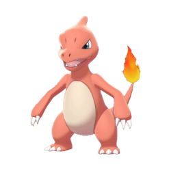 Buy Charmeleon in Brilliant Diamond & Shining Pearl