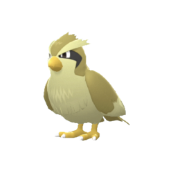 Buy Pidgey in Brilliant Diamond & Shining Pearl