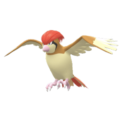 Buy Pidgeotto in Brilliant Diamond & Shining Pearl