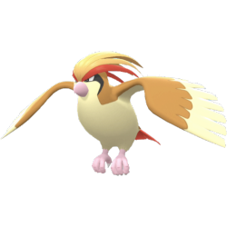 Buy Pidgeot in Brilliant Diamond & Shining Pearl