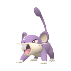 Buy Rattata in Brilliant Diamond & Shining Pearl