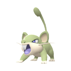 Buy Rattata in Brilliant Diamond & Shining Pearl