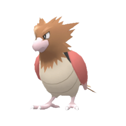 Buy Spearow in Brilliant Diamond & Shining Pearl