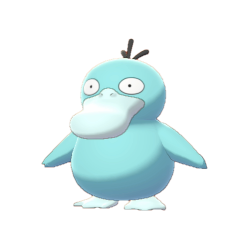 Buy Psyduck in Brilliant Diamond & Shining Pearl