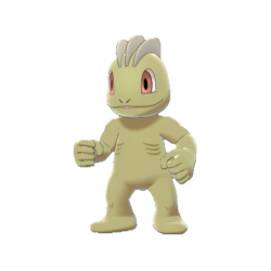 Buy Shiny 6IV Machop