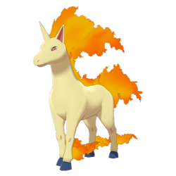 Buy Rapidash in Brilliant Diamond & Shining Pearl