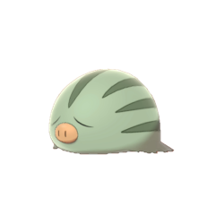 Buy Shiny Swinub
