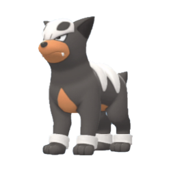 Buy Houndour in Brilliant Diamond & Shining Pearl