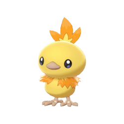 Buy Torchic in Brilliant Diamond & Shining Pearl