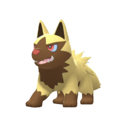 Buy Poochyena in Brilliant Diamond & Shining Pearl