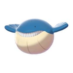Buy Shiny 6IV Wailmer