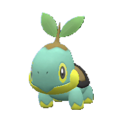 Buy Shiny Turtwig