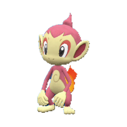 Buy Shiny Chimchar