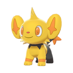 Buy Shinx in Brilliant Diamond & Shining Pearl