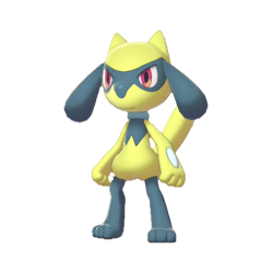 Buy Riolu in Brilliant Diamond & Shining Pearl