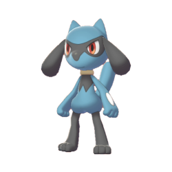 Buy Riolu in Brilliant Diamond & Shining Pearl