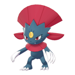 Buy Weavile in Brilliant Diamond & Shining Pearl