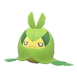 Buy Swadloon