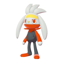 Buy Shiny 6IV Raboot