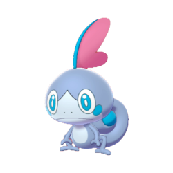 Buy Shiny 6IV Sobble