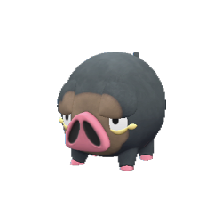 Lechonk - Pokestar