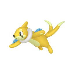 Shiny Buizel - thepokestar