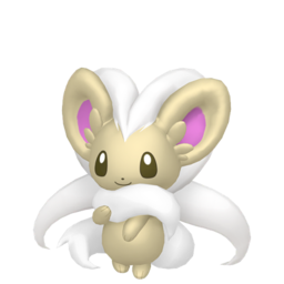 6IV Shiny Cinccino Indigo Disk Pokemon Scarlet and Violet