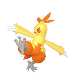 6IV Combusken Indigo Disk Pokemon Scarlet and Violet