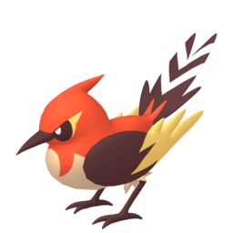 Shiny Fletchinder - thepokestar