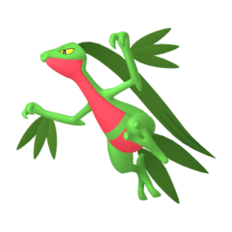 6IV Grovyle Indigo Disk Pokemon Scarlet and Violet
