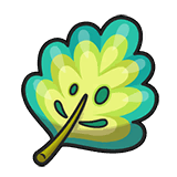 Mirror Herb