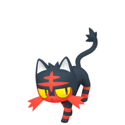 6IV Litten Indigo Disk Pokemon Scarlet and Violet