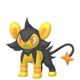 Shiny Luxio - thepokestar