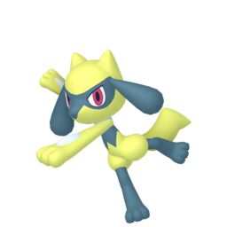 Shiny Riolu - thepokestar