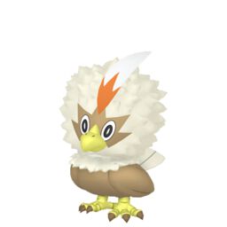 Shiny Rufflet - thepokestar