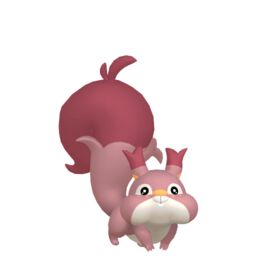 Shiny Skwovet - thepokestar