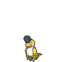 Sqawkabilly (Yellow) - Pokestar