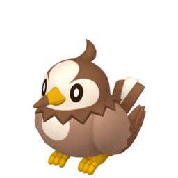 Shiny Starly - thepokestar
