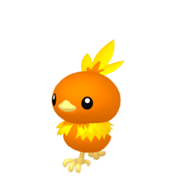 6IV Torchic Indigo Disk Pokemon Scarlet and Violet