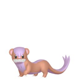 Shiny Yungoos - thepokestar